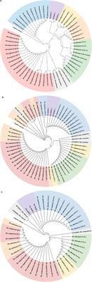 DNA barcoding combined with high-resolution melting analysis to discriminate rhubarb species and its traditional Chinese patent medicines